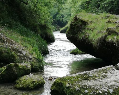 Holzmännchen by Stephanie Hofschläger pixelio